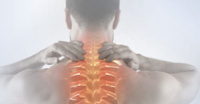 Proprioceptive Deep Tendon Reflex